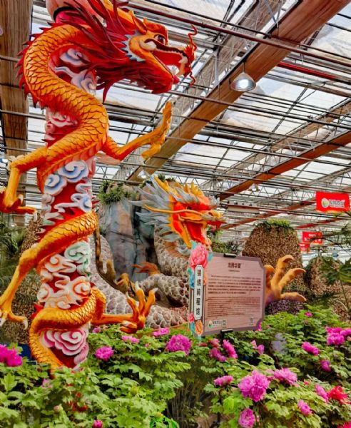 內(nèi)蒙古通遼和佑首屆農(nóng)業(yè)嘉年華